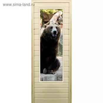 Дверь для бани со стеклом (43*129), "Медведь-5", 19070см, коробка из осины