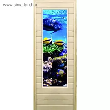 Дверь для бани со стеклом (43*129), "Риф-3", 18070см, коробка из осины