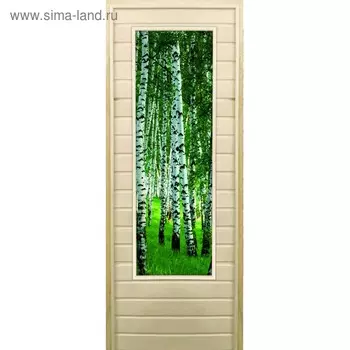Дверь для бани со стеклом (43*129), "Березки", 18070см, коробка из осины