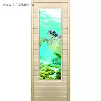 Дверь для бани со стеклом (43*129), "Черепаха-1", 17070см, коробка из осины