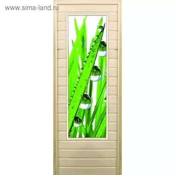 Дверь для бани со стеклом (43*129), "Капли", 17070см, коробка из осины