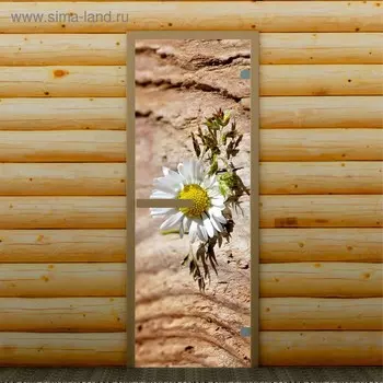 Дверь левое открывание "Ромашка", 190 х 67 см, с фотопечатью 6 мм Добропаровъ