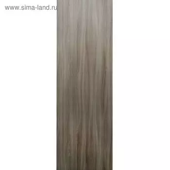 Дверное полотно ПГ Шимо светлый 2000х600