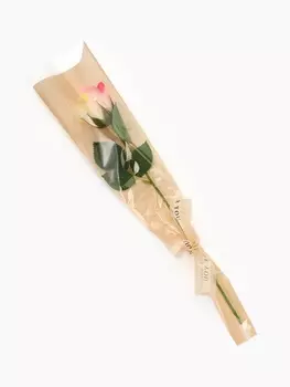 Дымная мыльная бежевая роза