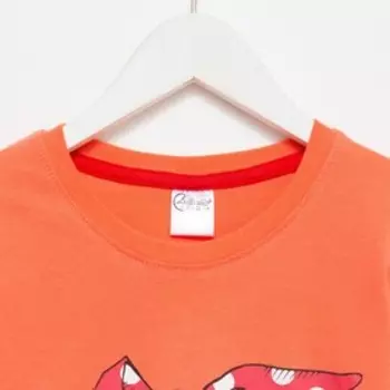 Джемпер (лонгслив) для девочки А.BV-D1031, цвет оранжевый, рост 128