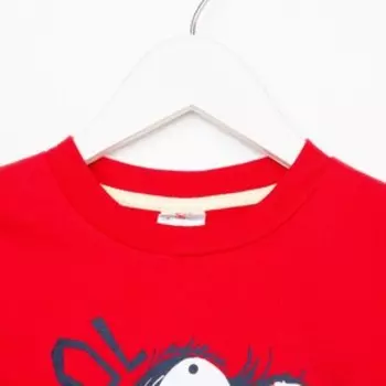 Свитшот для мальчика, цвет красный, рост 110