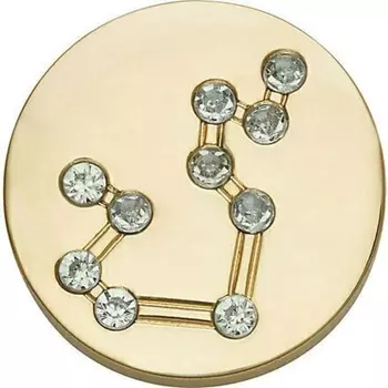 Джибитс Crocs Elevated Aquarius Star Sign (10008817)