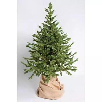 Ель искусственная «Датская», 240 см