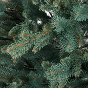 Ель искусственная "Фантастика" литая, голубая 195 см