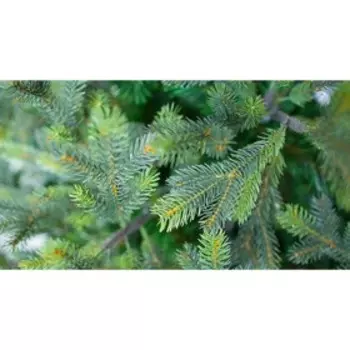 Ель искусственная «Грацио», 270 см