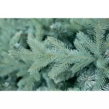 Ель искусственная «Россо», 180 см