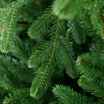 Искусственная ёлка Max Christmas «Севастопольская», 220 см, d нижнего яруса 165 см, ветки смешанные отгибаются