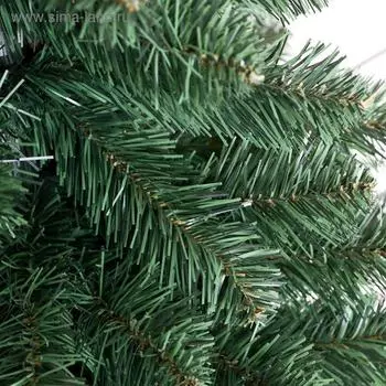 Ель настольная Боярская 0,9 м