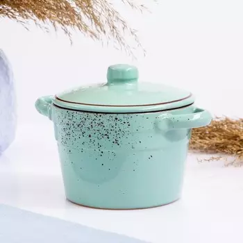 Емкость для тушения "Агне" мята, 0,5л