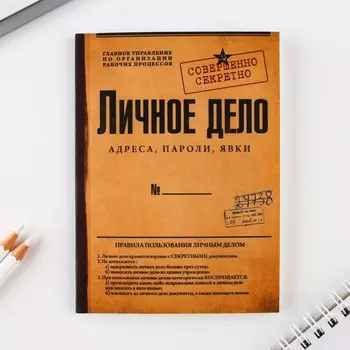 Ежедневник А6, 64 л. "Личное дело"