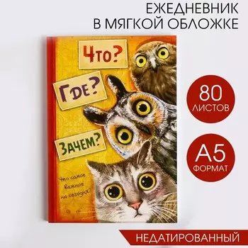 Ежедневник А5, 80 листов в тонкой обложке «Что? Где? Зачем?»