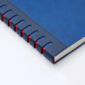 Ежедневник недатированный А5, 136 листов Bergamo, обложка искусственная кожа, оранжевый