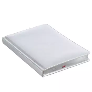 Ежедневник недатированный А5+, 136 листов Sidney Nebraska, обложка искусственная кожа, серебряный срез, ляссе, серебряный