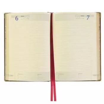 Ежедневник полудатированный А5, 208 листов Imperium, рециклированная кожа, золотой срез, 2 ляссе, коричневый