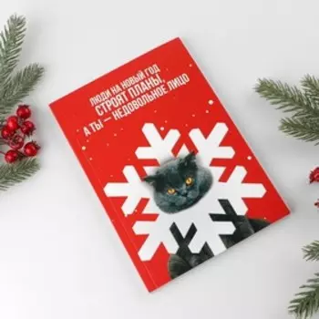 Новый год. Ежедневник в тонкой обложке А5, 80 л «Недовольное лицо»