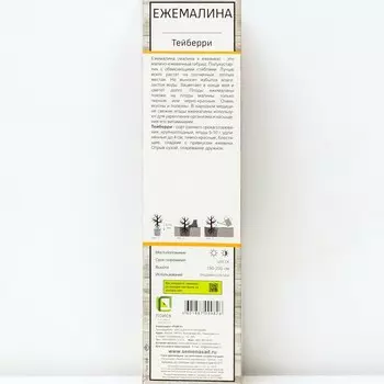 Ежемалина (Ежевика) "Тейберри (малина х ежевика)" 1 шт, туба, Май 2022