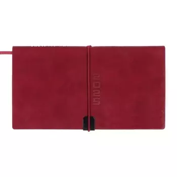 Еженедельник датированный 2025 года, ESCALADA, 175 х 95 мм, мягкая обложка с искусственной кожи, 64 листа, блинтовое тиснение, блок 70, красный