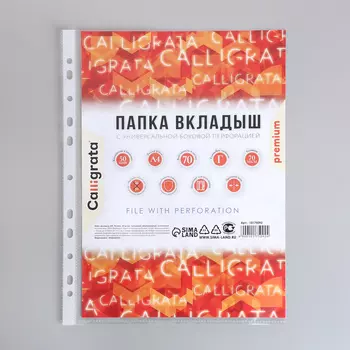 Файл-вкладыш А4, 70 мкм, Calligrata, плотный, глянцевый, вертикальный, 50 штук