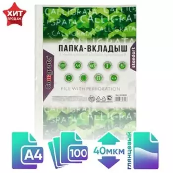 Файл - вкладыш Calligrata, А4, 40 мкм, глянцевый, вертикальный, 100 штук