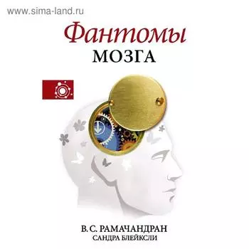 Фантомы мозга