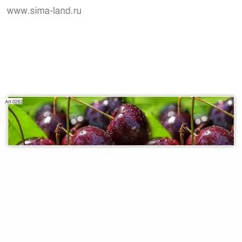 Фартук кухонный МДФ PANDA Вишня, 0282