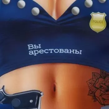 Фартук кухонный «Вы арестованы», 5070 см