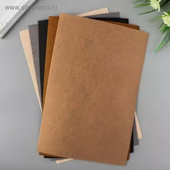 Фетр "BLITZ" 1 мм, мягкий 20х30 см ± 2 см (набор 5 шт) ассорти №4