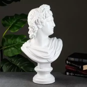 Фигура "Бюст Аполлона " белый, 26х48см