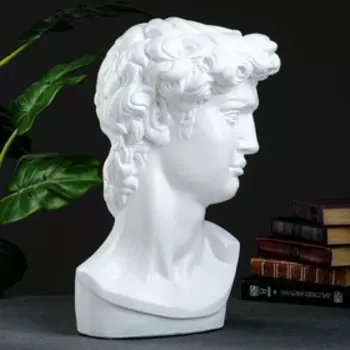 Бюст «Давид», фигурка гипс, белый, 2448 см
