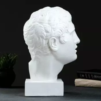 Фигура "Бюст Дискобола" белый, 18х38см