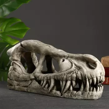 Фигура "Череп динозавра" 40х13х20см