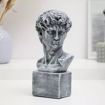 Фигура "Голова Давида" под камень, 10,5х22см