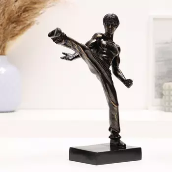 Фигурка полистоун TAKE IT EASY «Карате боец», 71422 см