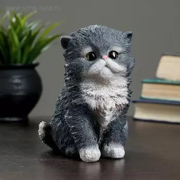 Фигура "Котенок персидский" 13х11х16см