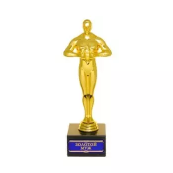 Наградная фигура мужская «Золотой муж», оскар, кубок, пластик, 18 х 6,2 см.