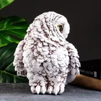 Фигурка гипс «Сова», 222525 см, бело-коричневая