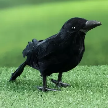 Фигурка «Ворон», 20610 см