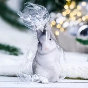 Фигура "Заяц лесной" МИКС, 5х4х8см