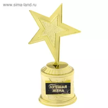 Фигура звезда литая «Лучшая жена», 16,5 х 6,3 см