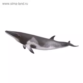 Фигурка Collecta «Малый полосатик»