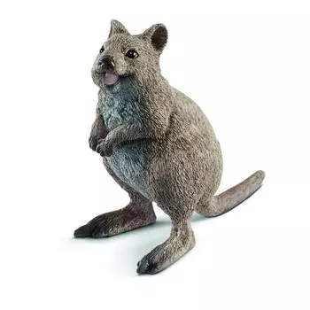 Фигурка «Короткохвостый кенгуру», Schleich