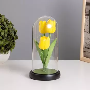 Фигурка светящаяся колба RISALUX «Тюльпаны», LED-ночник, 3ААА, жёлтый, 10.510.522 см