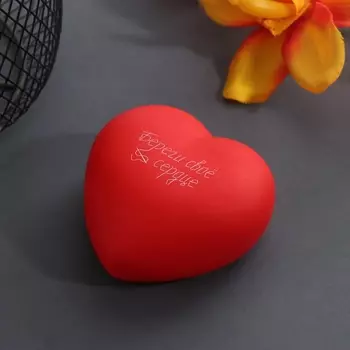 Фигурка светящаяся RISALUX «Сердце. Береги свое сердце», LED-ночник, 2хLR44, 773.5 см