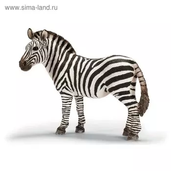 Фигурка «Зебра обыкновенная»