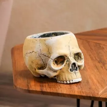 Фигурное кашпо "Череп", акрил, бежевое, 0.5 л